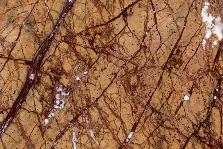 Rain forest gold