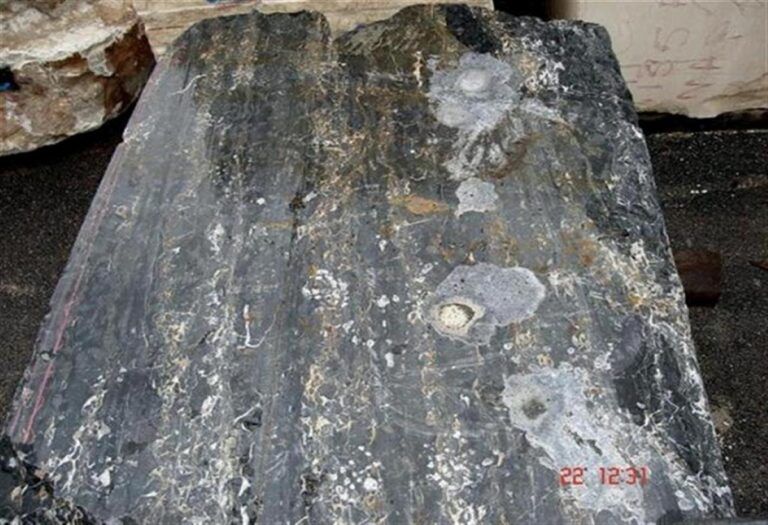 schwarze marmorplatten portoro gold